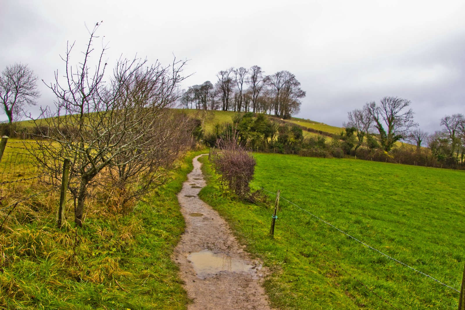 ANDANDO POR LA RUTA CIRCULAR A KELSTON HILL (ROUND WALK KELSTON HILL, BRISTOLBATH, UK