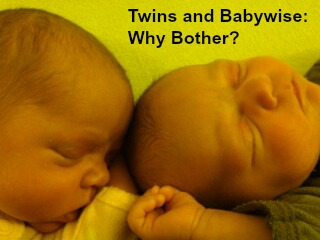 Text: Twins and Babywise: Why Bother? {text in black on top of picture of newborn twins sleeping with foreheads touching