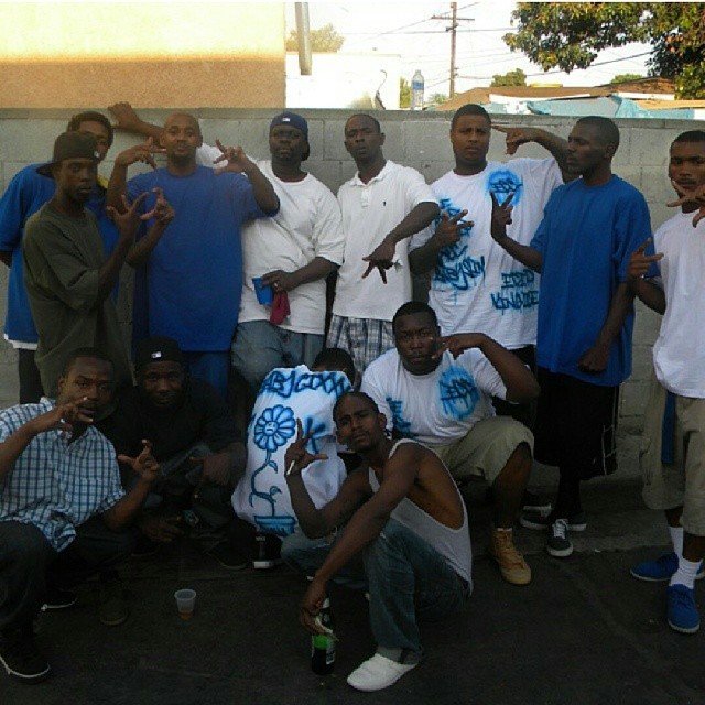 Crips & Sloobs and other shits Crips, who they are?