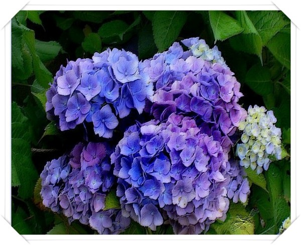 Gedankenreise Juni 2016