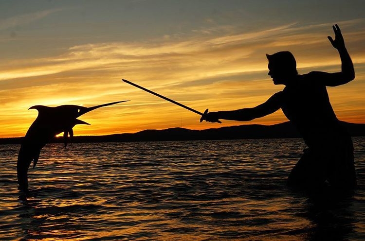 20-Swordfish-Fight-John-Marshall-Sunset-Selfie-Photographs-with-Cardboard-Cutouts-www-designstack-co