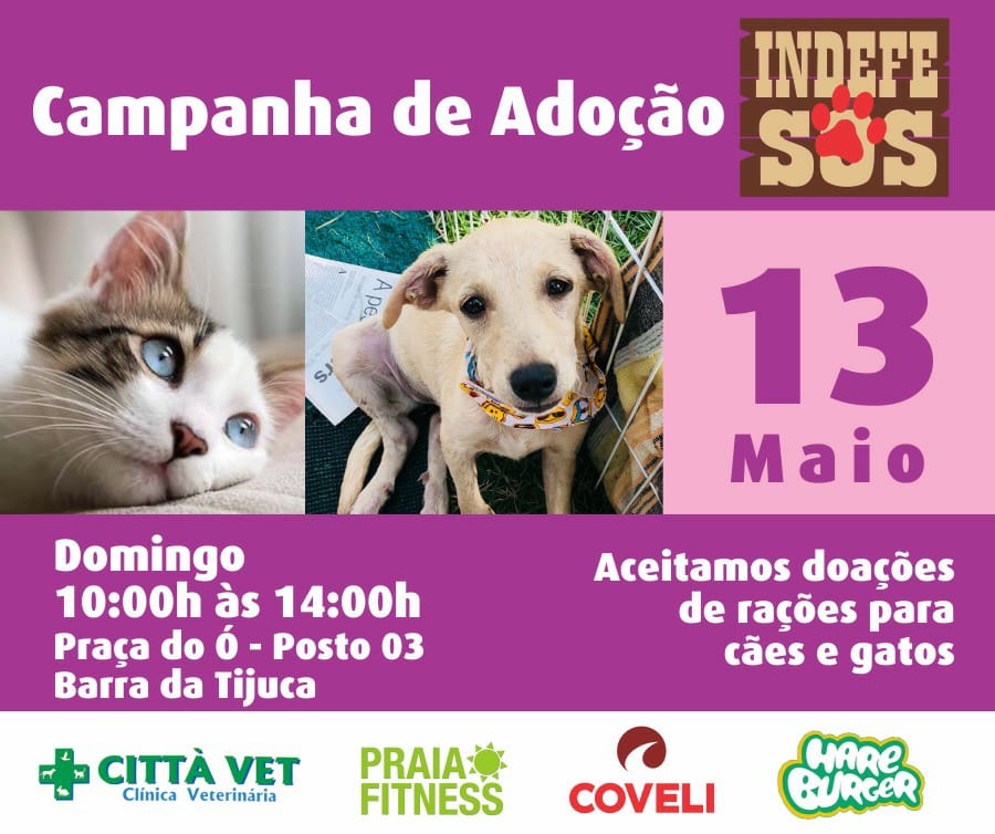 Adoção Cachorros e Gatos Rio de Janeiro, ONG Indefesos