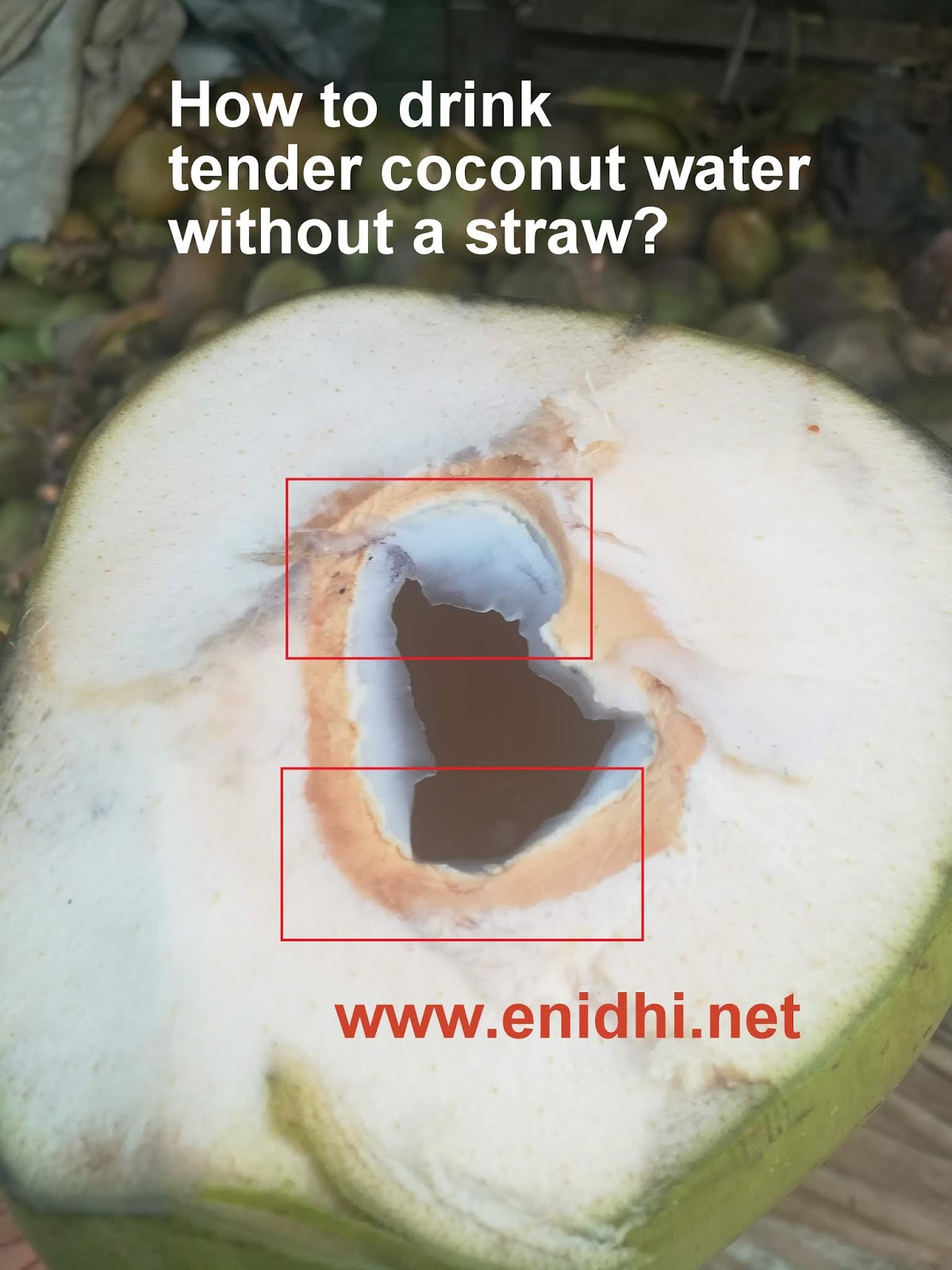 How to drink tender coconut water without using straw? eNidhi India