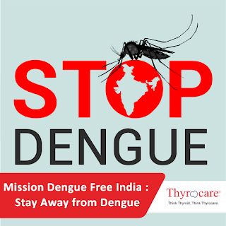 dengue prevention 