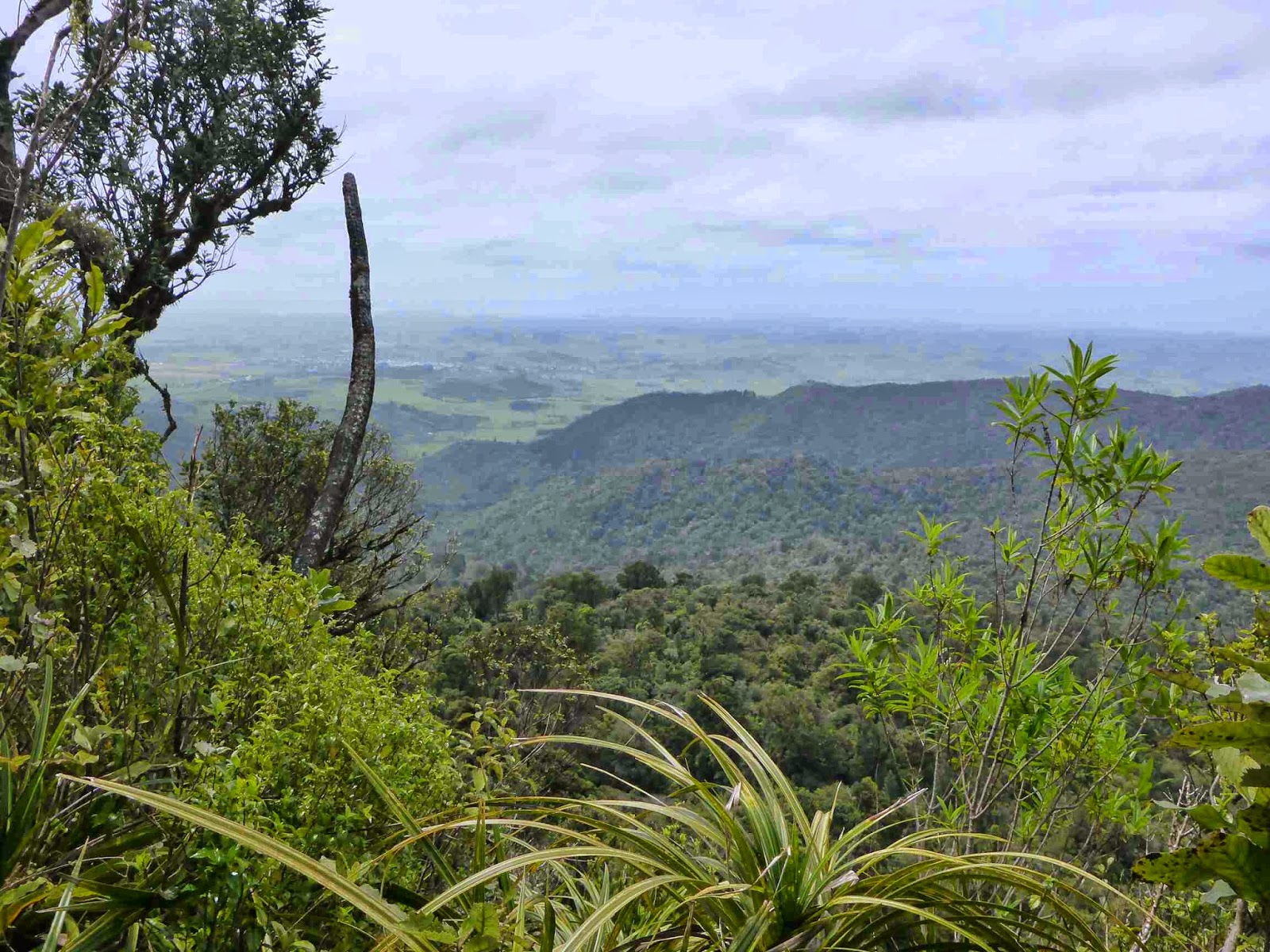 Restless Kiwi: Walking the Te Araroa Trail and other adventures around ...