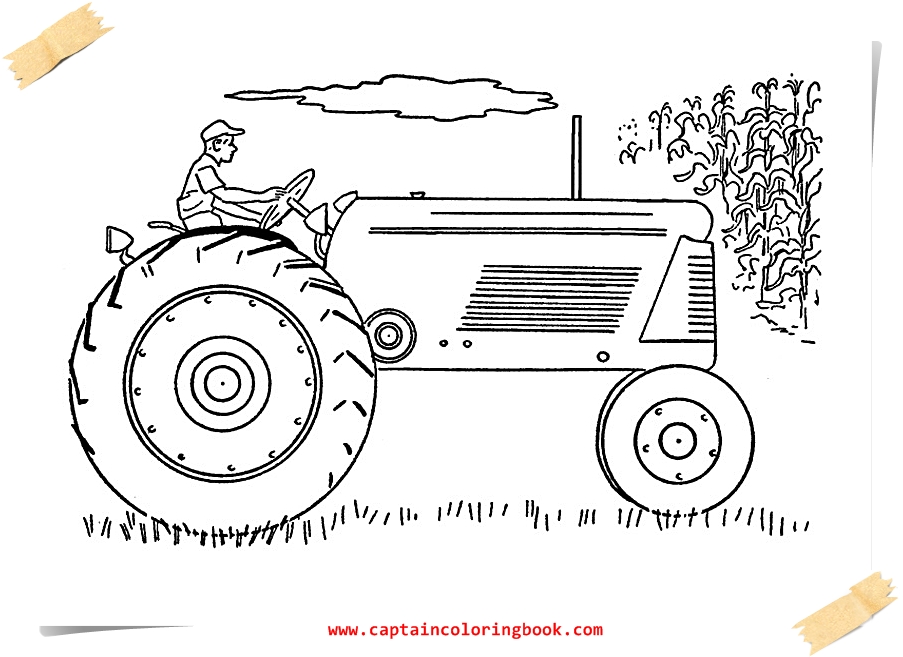 Your Seo Optimized Title