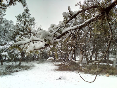 Nevada Serrania Cuenca. Autor, Miguel Alejandro Castillo Moya