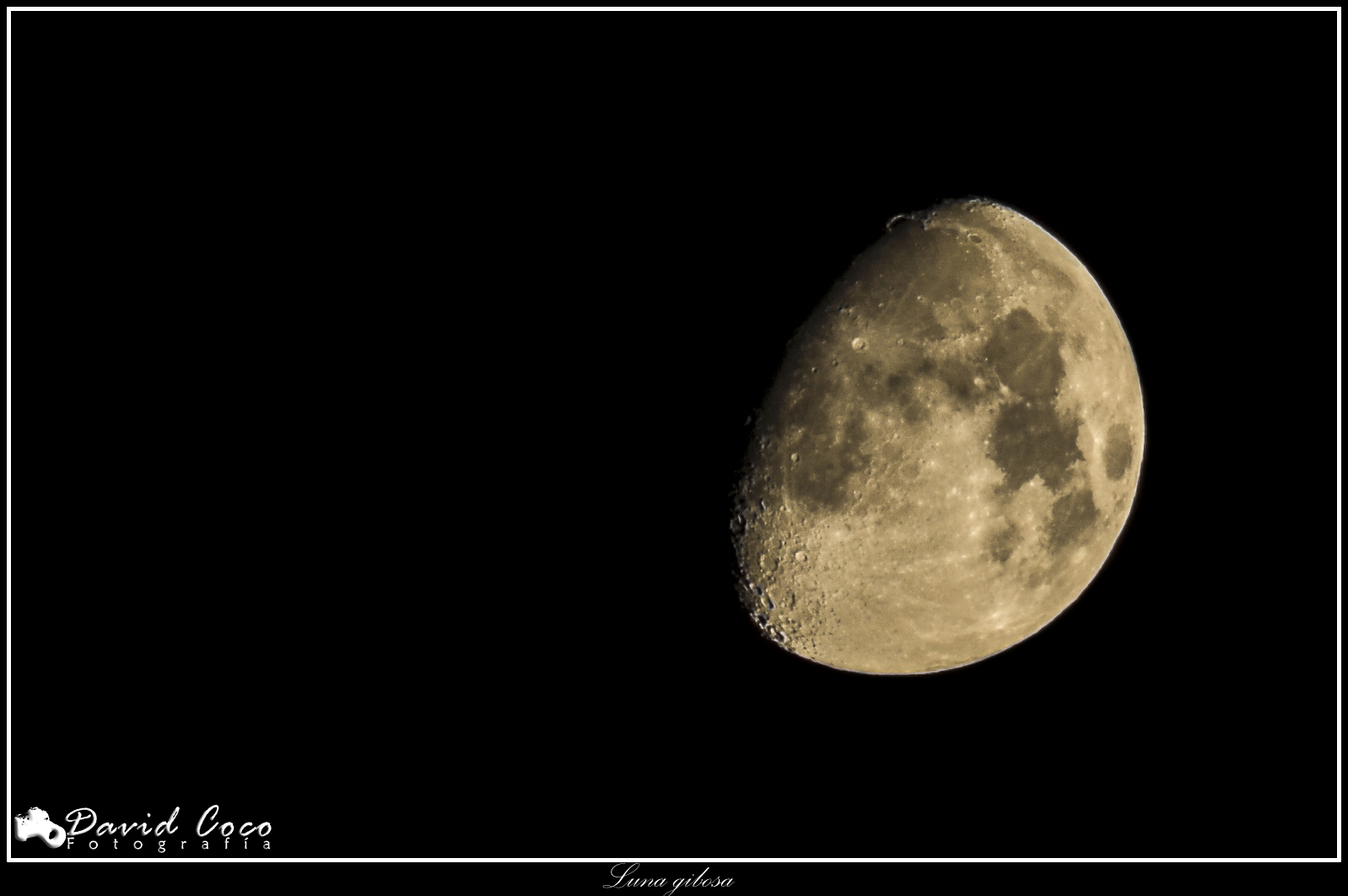 David Coco Fotografia: Luna gibosa