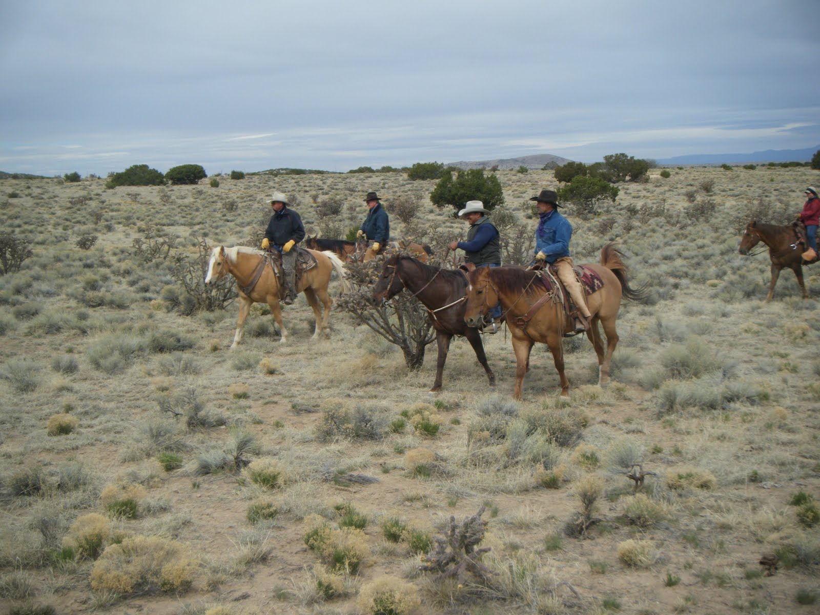 HORSES FOR HEROES New Mexico Cowboy Up! 5057982535 Bonanza Creek