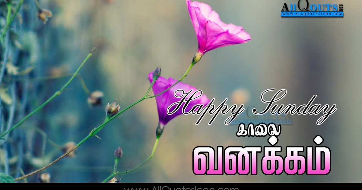 Featured image of post Happy Sunday Wishes In Tamil