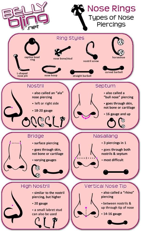 Sris Newsletter Why Hindu Women Wear Nose Studs