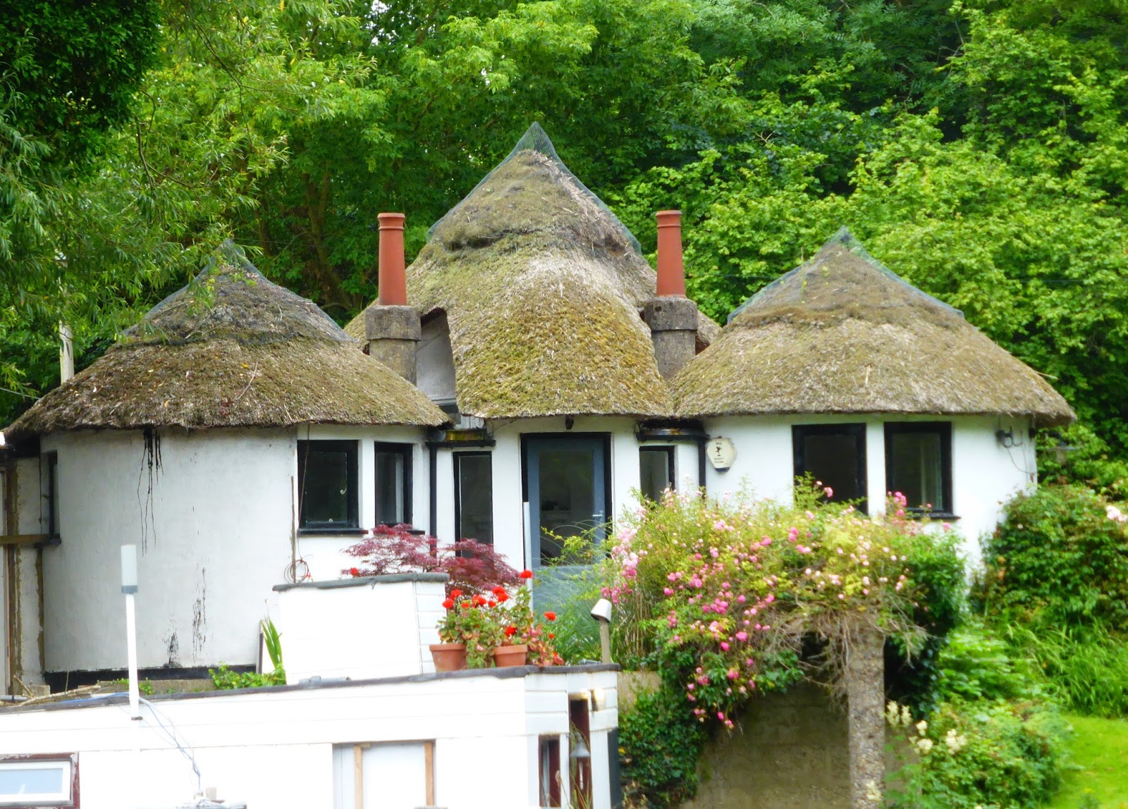 NB Festina Lente Bourne End to Manor Park