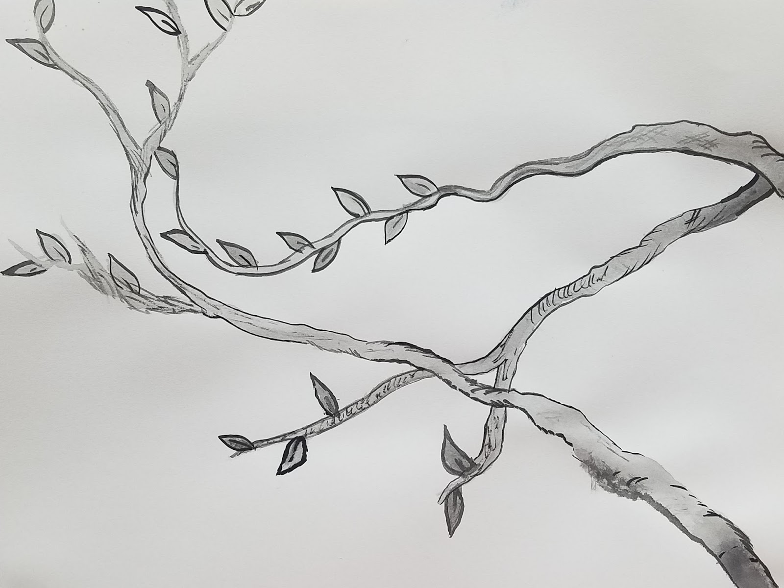 india ink on canvas india ink on canvas
