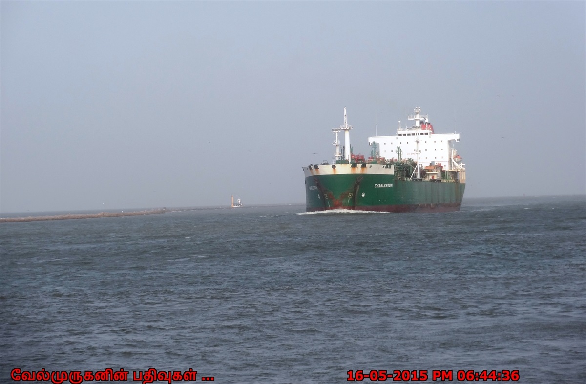 Dolphin Watch in Port Aransas - Exploring My Life