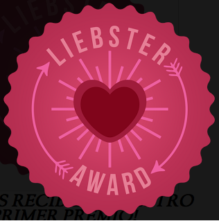 PREMIO LIEBSTER AWARD 2012 - 2013