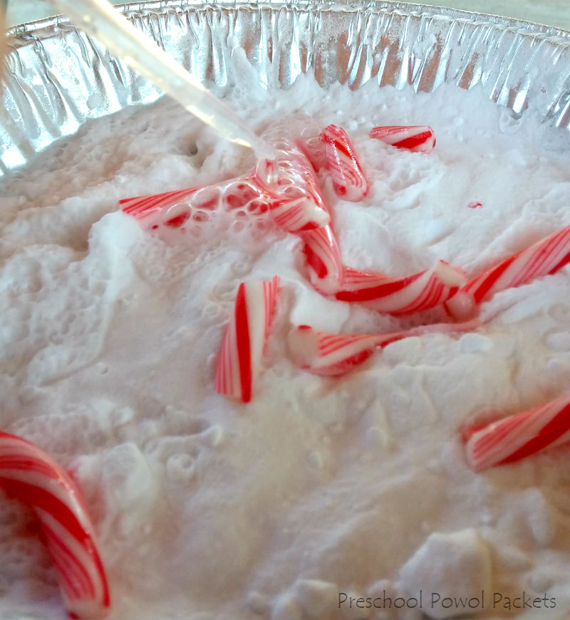 Christmas Science Experiment Fizzing Candy Cane Eruptions! Preschool