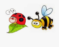 Projet Coccinelles extra et abeilles ordinaires