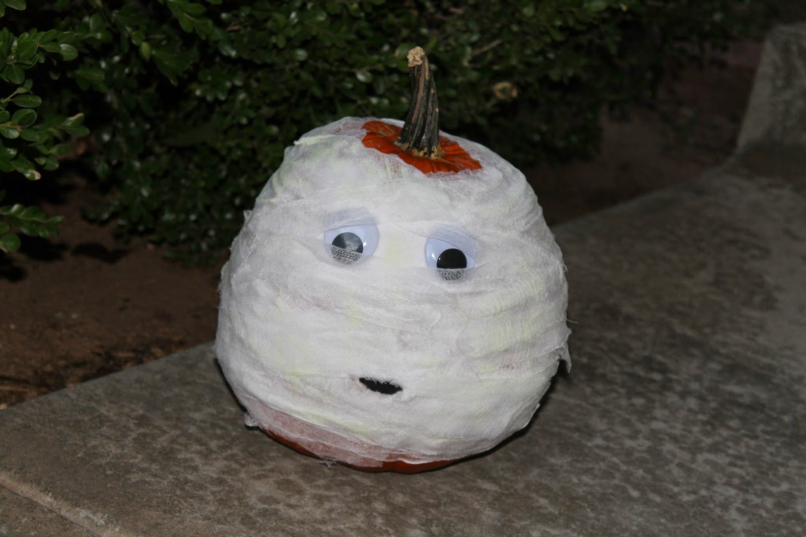 Lyndi's Projects: Pumpkin Mummy