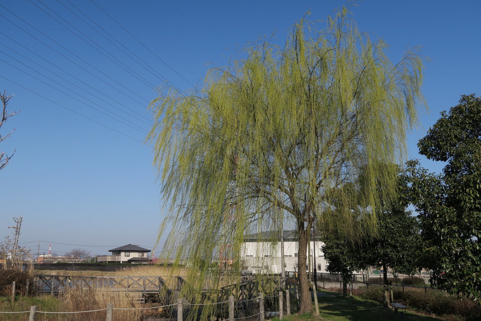 日進撫炉具 やはらかに柳あをめる