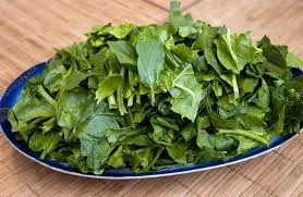 chopped-sorrel-and-spinach
