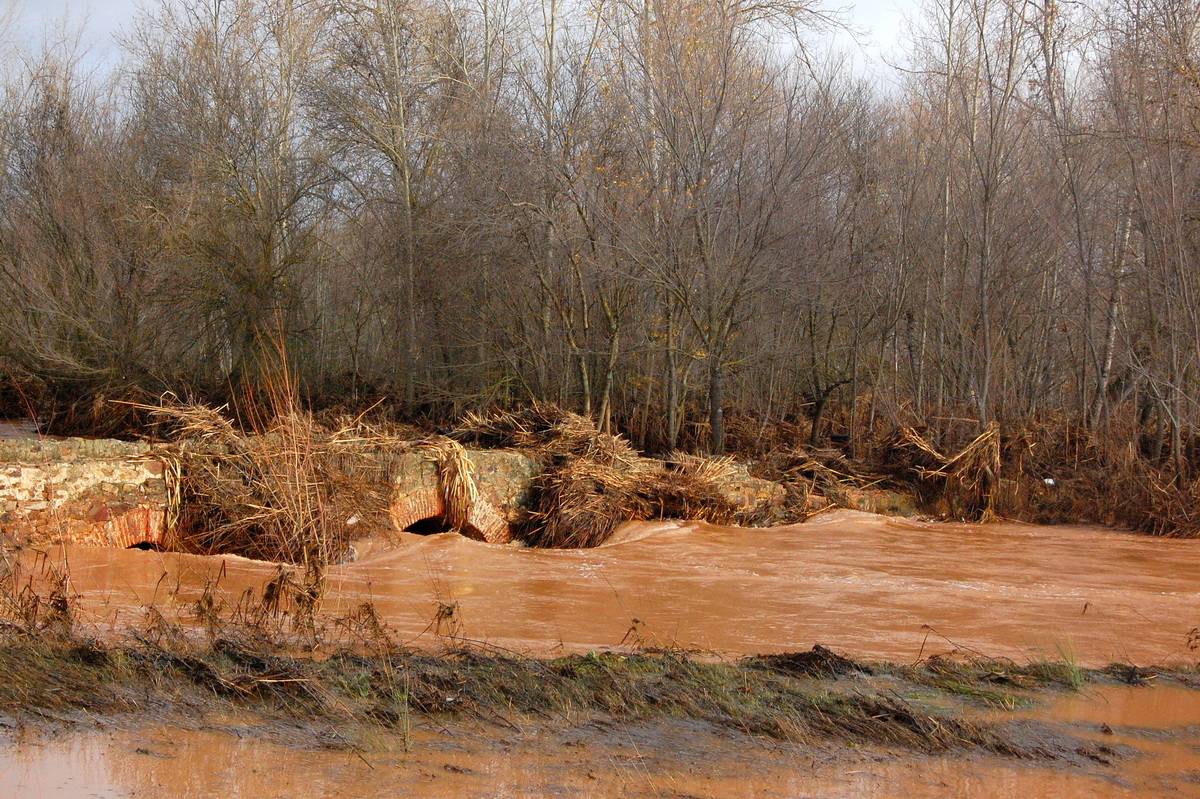 ALMANAQUE NATURAL Llanuras de Inundación