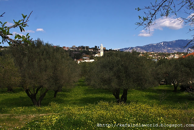 Spring flowers, Kefalonia