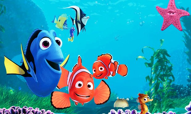 10 Gambar Finding Dory Terbaru Gambar Top 10