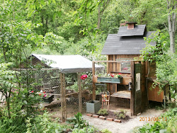 chicken coop coops cool deck double chickens diy unique dog kennel roof child garden area communitychickens covered community repurpose play