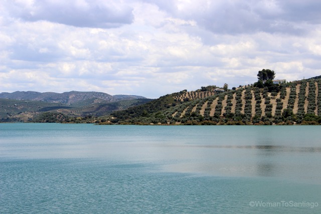 camino-mozarabe-cordoba-olivos-lago-iznajar