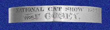 Silver collar for Cosey the cat