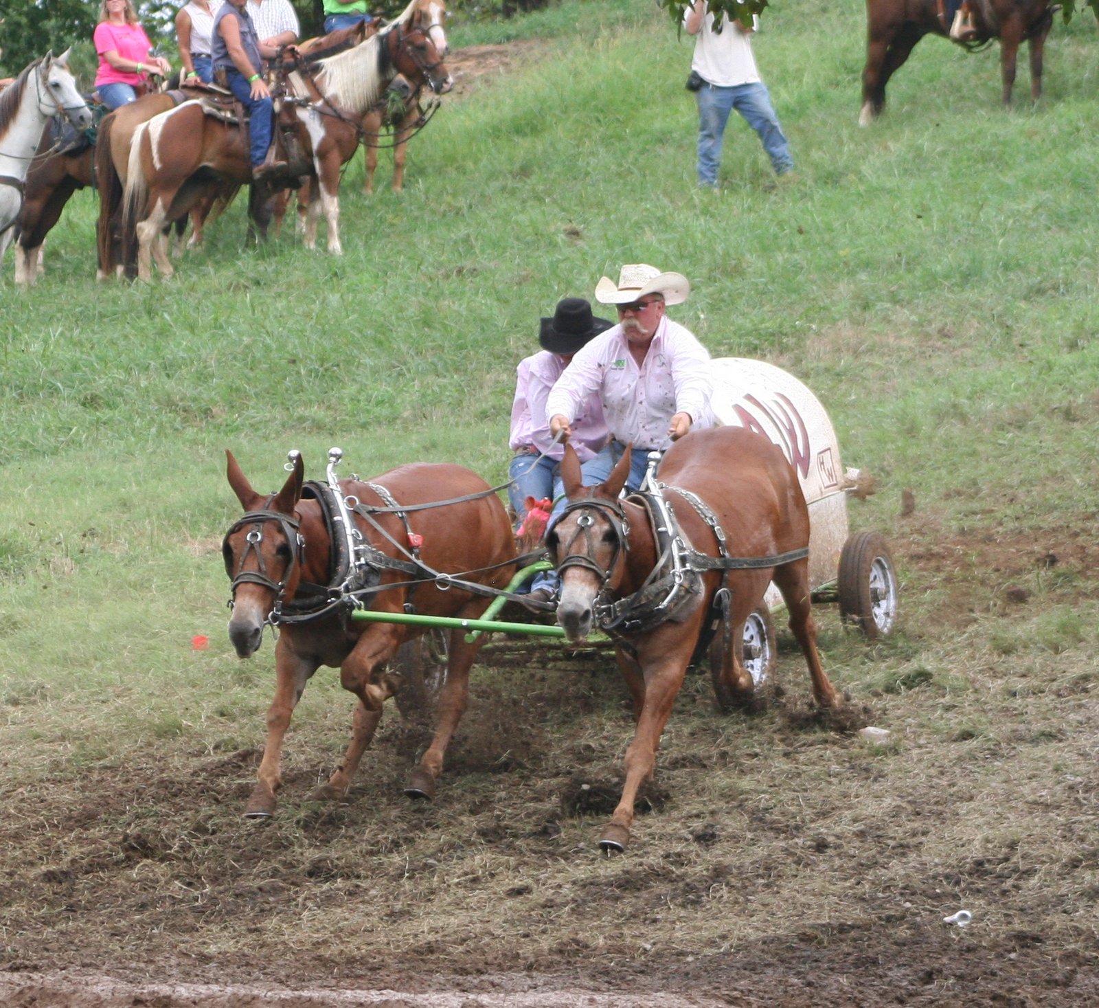 PairADice Mules Big Mules