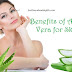 Benefits Of Aloe Vera On Skin