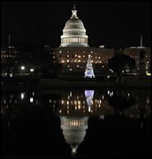 2017 US Capitol Christmas Tree
