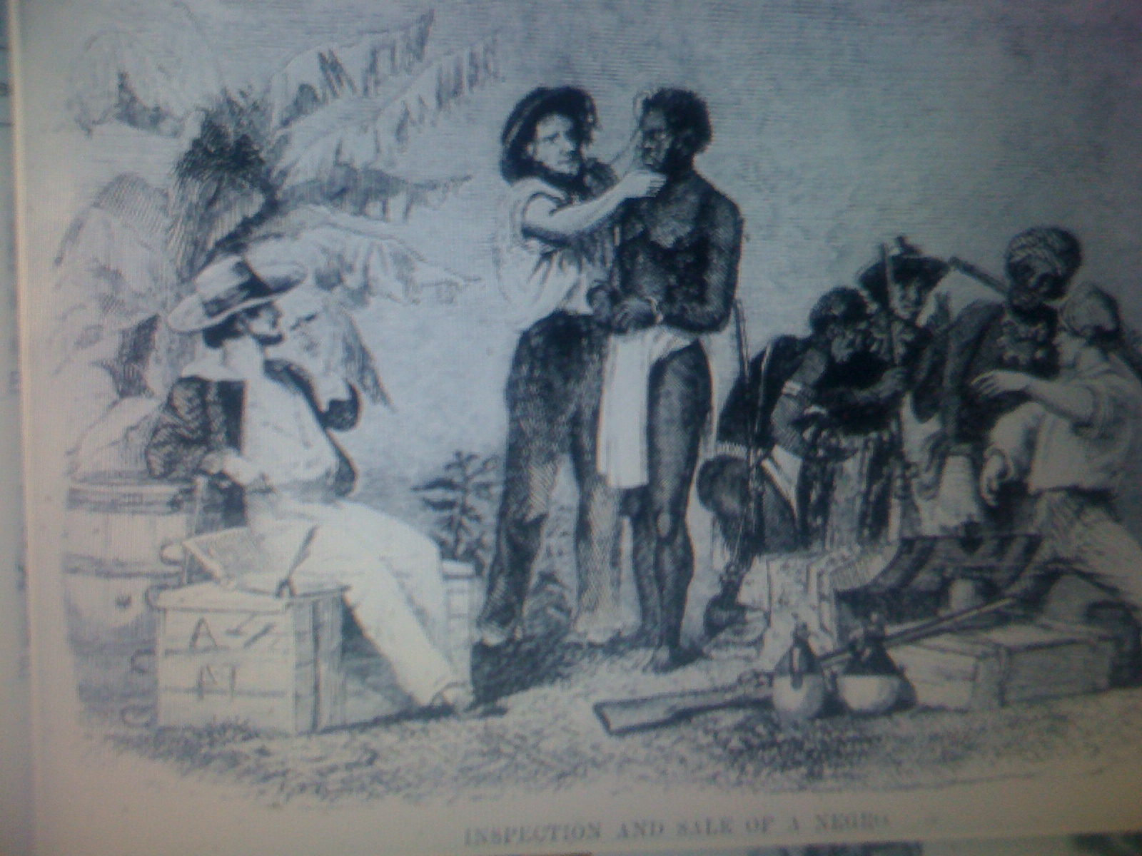 THE BLACK SOCIAL HISTORY:: BLACK SOCIAL HISTORY: OTA BENGA THE