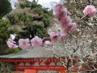 �`���V�_�Ђ̔~