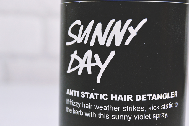Lush frizzy hair styler review