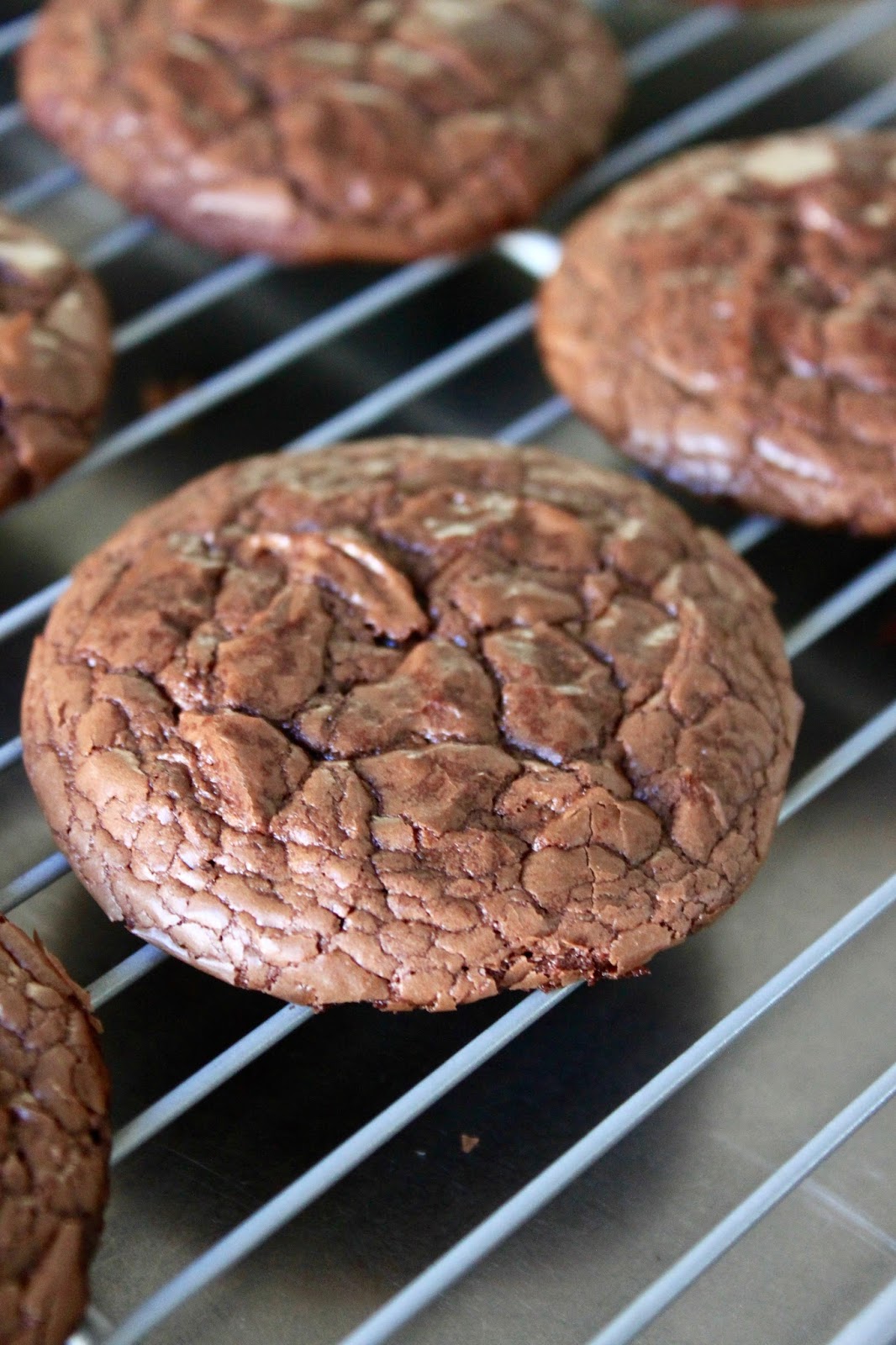 Baked Perfection: Double Chocolate Brownie Cookies