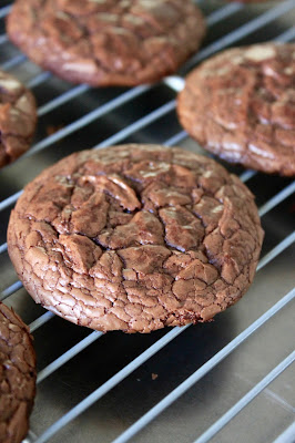 Baked Perfection: Double Chocolate Brownie Cookies