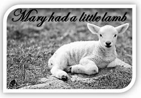 Lesson Plan for Mary Had a Little Lamb