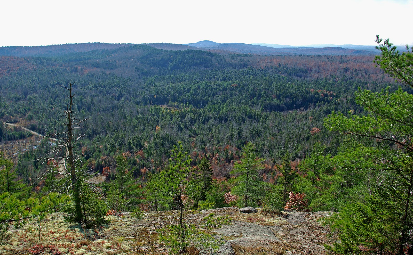 Hiking in Maine with Kelley: 10/26/12 Partridge and Ducktail Ponds and Bald Bluff