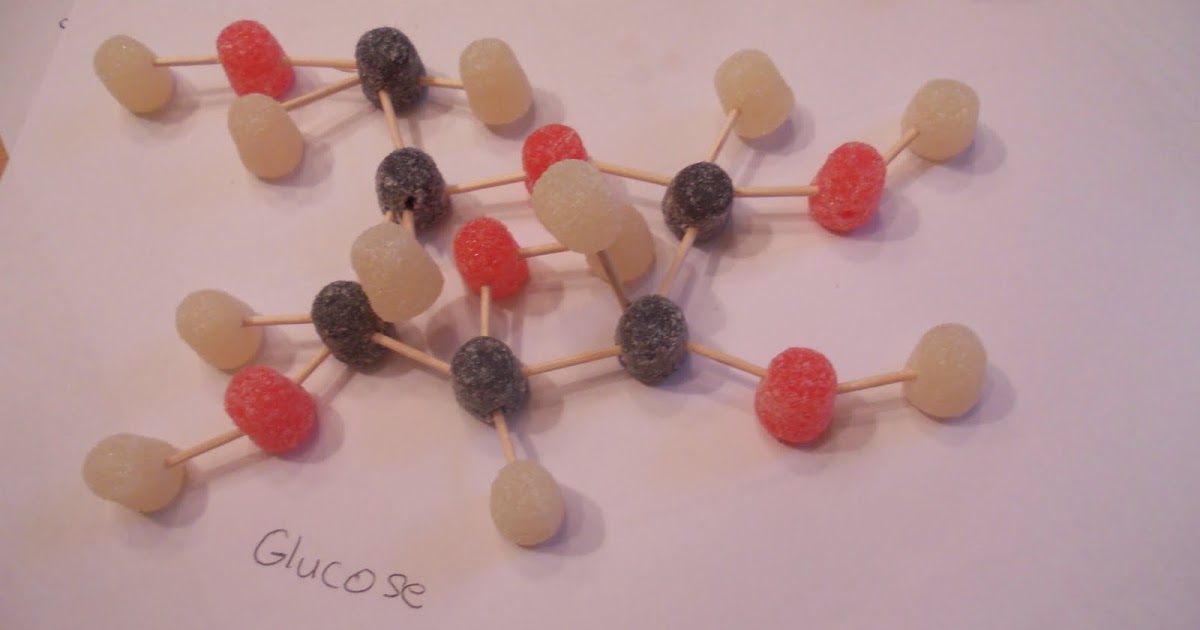 hypothesis-homeschool-gumdrop-molecules