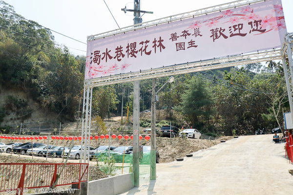 台中北屯|2019大坑濁水巷櫻花林|走木棧道賞5千棵櫻花|善本巖|免費入園賞花 台中北屯|2019大坑濁水巷櫻花林|走木棧道賞5千棵櫻花|善本巖|免費入園賞花