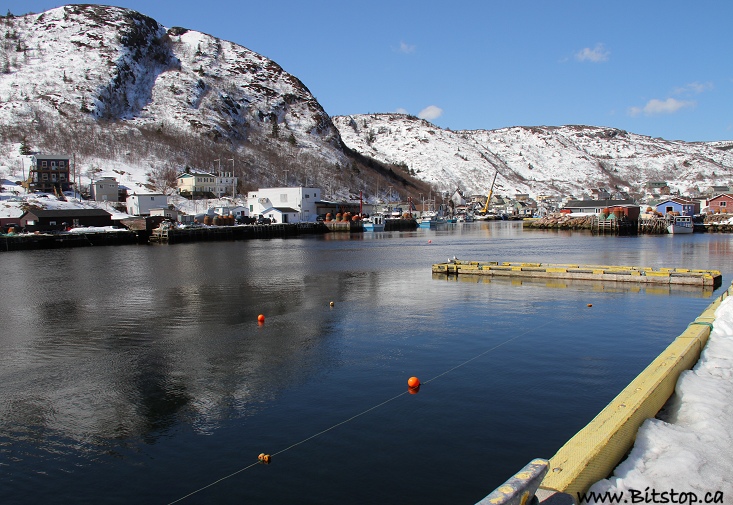 Bitstop Petty Harbour