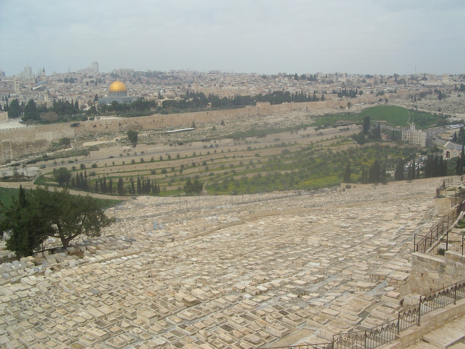All My Foreparents The Cemetery on the Mount of Olives