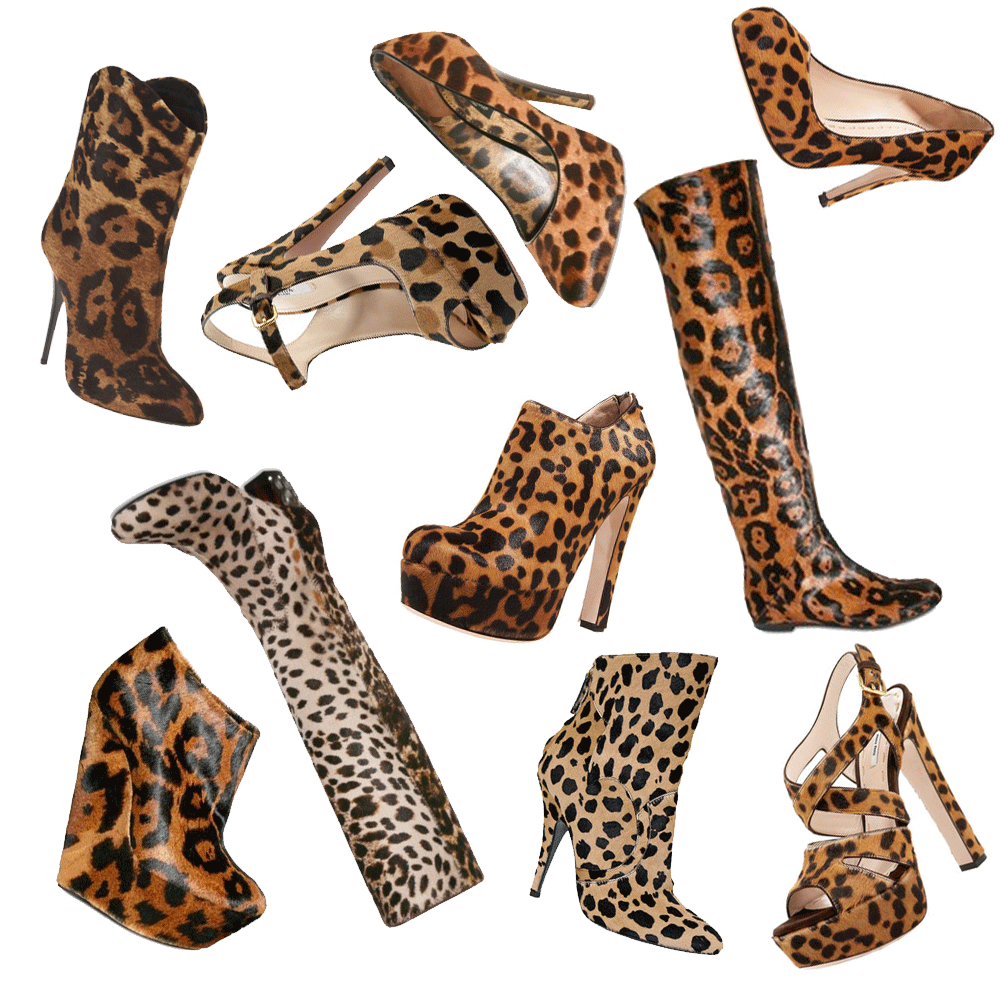 leopard print shoes fall 2010