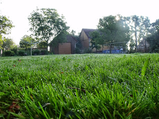 Morgentau im Gras (C) by Joachim Wenk Morgentau im Gras (C) by Joachim Wenk
