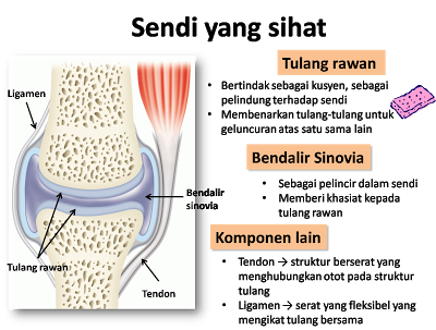 Sakit Lutut Sakit Lutut