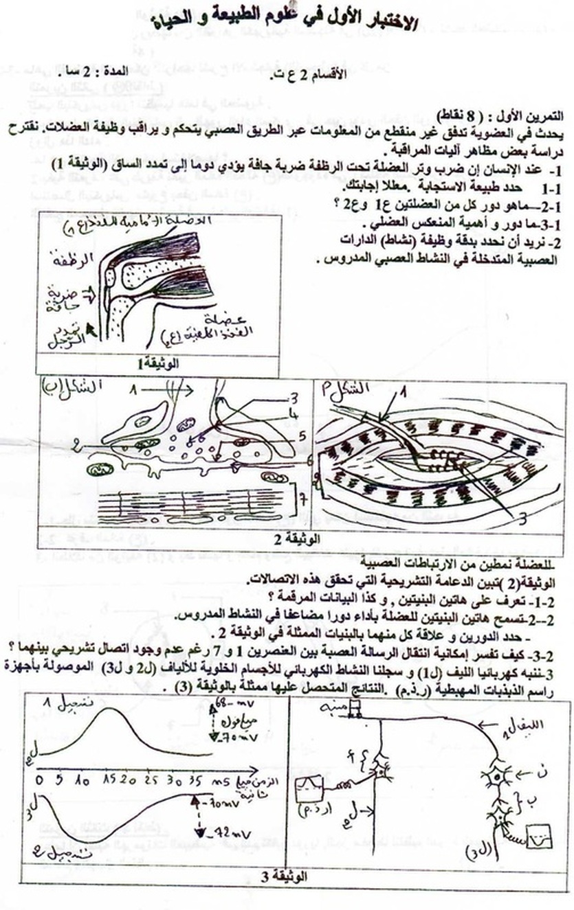 اختبار الثلاثي الأول في مادة علوم الطبيعة والحياة شعبة العلوم التجريبية للسنة الثانية ثانوي اختبار الثلاثي الأول في مادة علوم الطبيعة والحياة