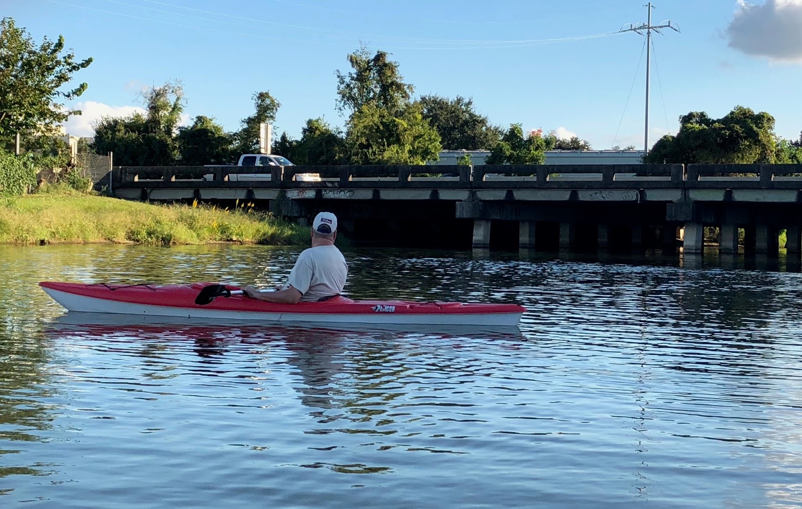 The Shekel Coins, Law, and Commentary New Orleans Apres Swamp Kayak