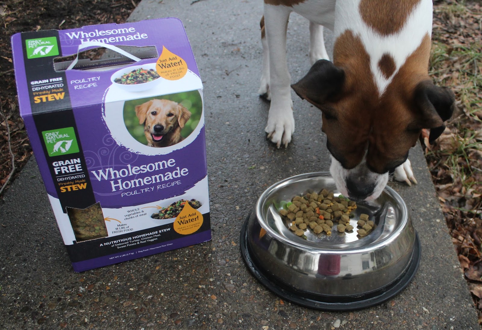 only natural pet wholesome homemade dog food